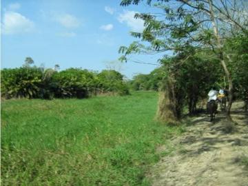 Cortijo de alto standing de 17770000 m2 en venta...