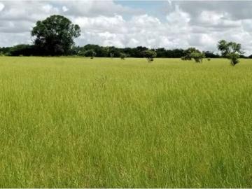Cortijo de alto standing en venta Ciudad Bolívar, Venezuela
