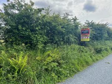 Currafaireen, Monivea, Co. Galway