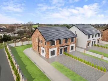 Dargan Woods, Dargan Woods, Borris Road, Portlaoise, Co....