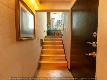 Departamento en venta Renta en Canc?n