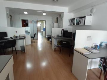 Departamento Lince