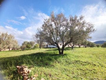 Domaine titré 7 ha – 20 min de Fès