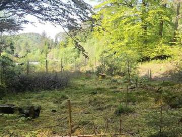 Duncraig, Plockton, Land For Sale