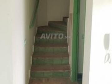 Duplex tamesna