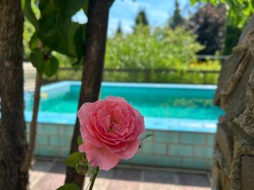 Ein Zuhause mit Urlaubsgefühl: Einfamilienhaus in Mahlsdorf