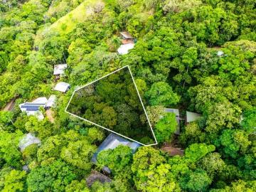 ELEVATED, LEAFY LAND IN A TIGHTLY HELD KAMERUNGA POCKET