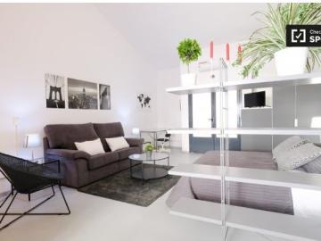 Elegante estudio en alquiler en Ciudad Lineal