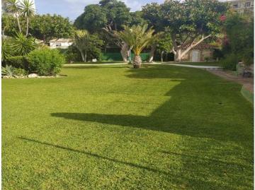 Estudio en Alquiler en Marbella, Málaga