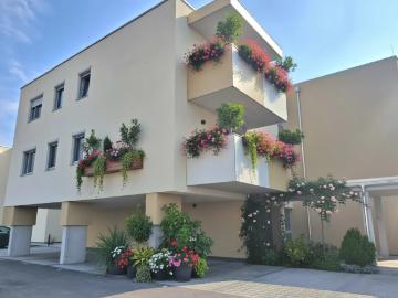 Erstbezug – Moderne 2 Zimmer Wohnung mit...