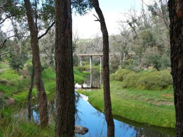 Exceptional 10 Acre Riverfront Sanctuary