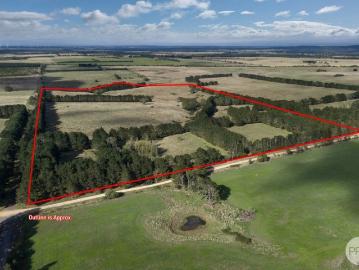 Expansive 100 Acre Lifestyle Opportunity in Tightly Held...