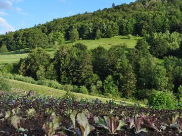 Ferme de 1200 m2 en vente Dolleren, France