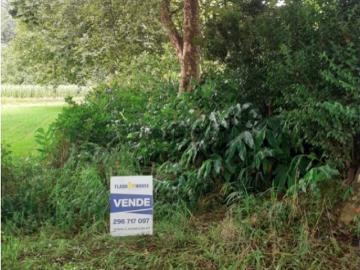 FHPL5071 2 Terrenos Rústicos 3.831 m², Nossa Senhora dos...