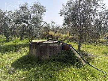 Finca rústica en Venta en Pilas