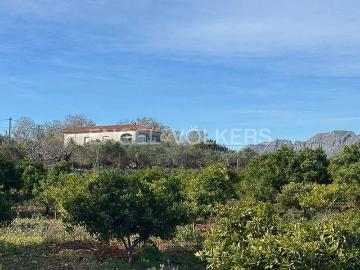 Finca/Casa Rural en venta en Dénia, Alicante Costa Blanca