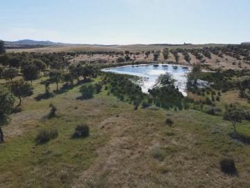 Finca/Casa Rural en venta en Paymogo, Huelva