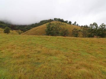 For Rent Land Lower Creek NSW DS101908978