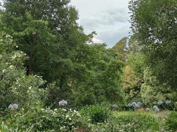 For Rent Land THE PATCH VIC DS104955619