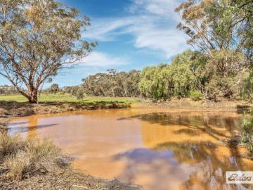 For Rent Land Wedderburn VIC DS105936539