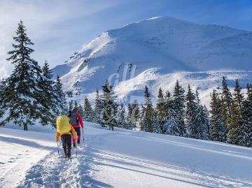Freizeitwohnsitz Ski in/Ski Out Grundstück für 2...