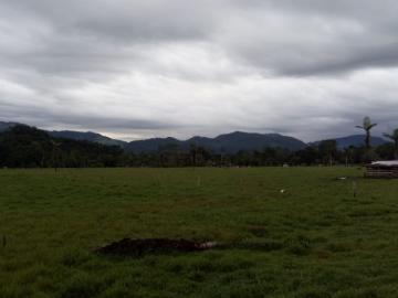 FUNDO PLANO Y FÉRTIL DE 152 HA. EN ISCOZACÍN PALCAZÚ /...