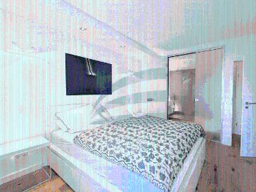 Großzügige, sanierte 2 Zimmer Wohnung in eleganter Lage