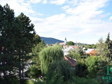 Großzügiges, sonniges Einfamilienhaus mit 80m² Dachterrasse