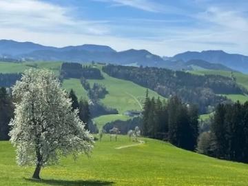 Grundstücke Zu Verkaufen Perwarth Perwarth 51800 ES104321721