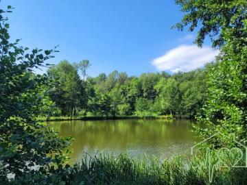 Grundstücke Goberling Goberling 105542659