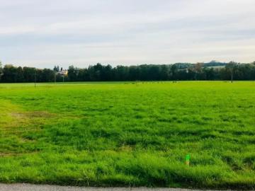 Haus Zu Verkaufen Andorf Andorf 379000 ES104321725