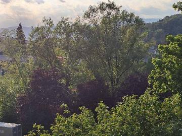 Helle 2 Zimmer Wohnung mit Schöcklblick & neuer Küche