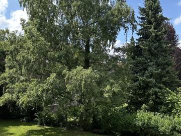 Helle 2,5 Zimmer Wohnung mit großem Balkon in Stadtpark Nähe