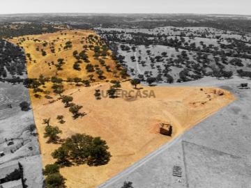 HERDADE COM 40 HECTARES NO CORAÇÃO DO ALENTEJO | AGUA...