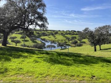 Herdade de 335 hectares com grande potencial agrícola,...