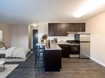 La Tour Eiffel B Studio Apartment for Rent at 261 Goulet...