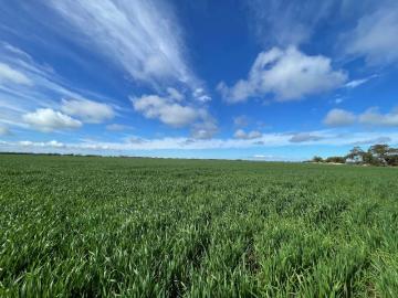 Land Melton SA LS101909344