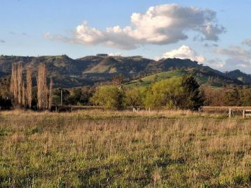 Land For Rent Blandford NSW 200000 ES105935770