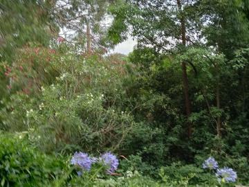 Land For Rent THE PATCH VIC 279000 ES104955619