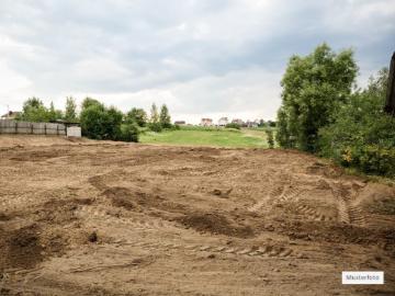 Land / Forstwirtschaft in 53115 Bonn, Auf dem Birkenbusch