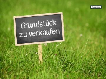 Land / Forstwirtschaft in 54441 Kirf, Scheid