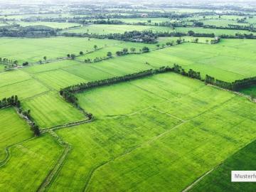 Land / Forstwirtschaft in 54675 Mettendorf, In Wangerschberg