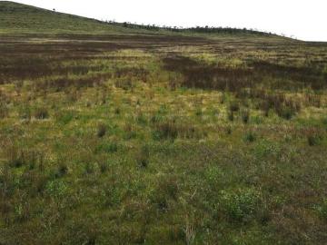 Land Pekina SA LS101909153