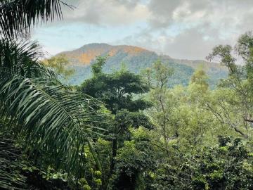 Land REDLYNCH QLD 104955653