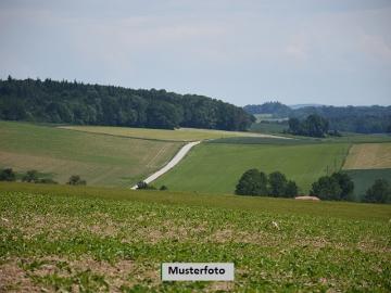 Land und Forstwirtschaftsflächen