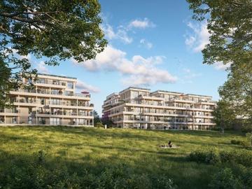 LE JARDIN DES CARMES