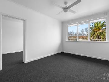 Live amongst the palms under Tennyson Reserve