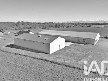 Local commercial 1 234 m²