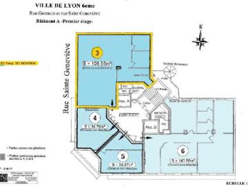 Location bureaux Lyon 6 Quartier Bellecombe, tram T1 et T4