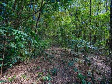 lot 5 Discovery Drive, Jumrum Estate, Kuranda